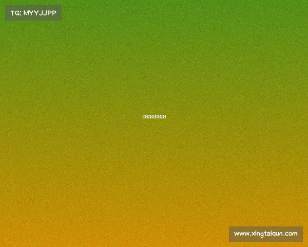 法国阿根廷赛事比分