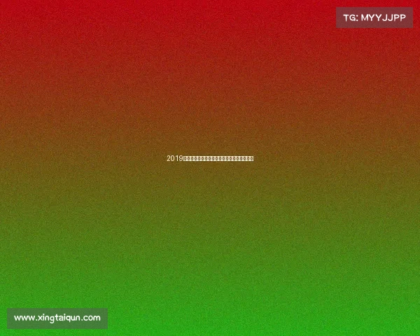 2019年足球盛事法国女足世界杯荣耀征程激情对决